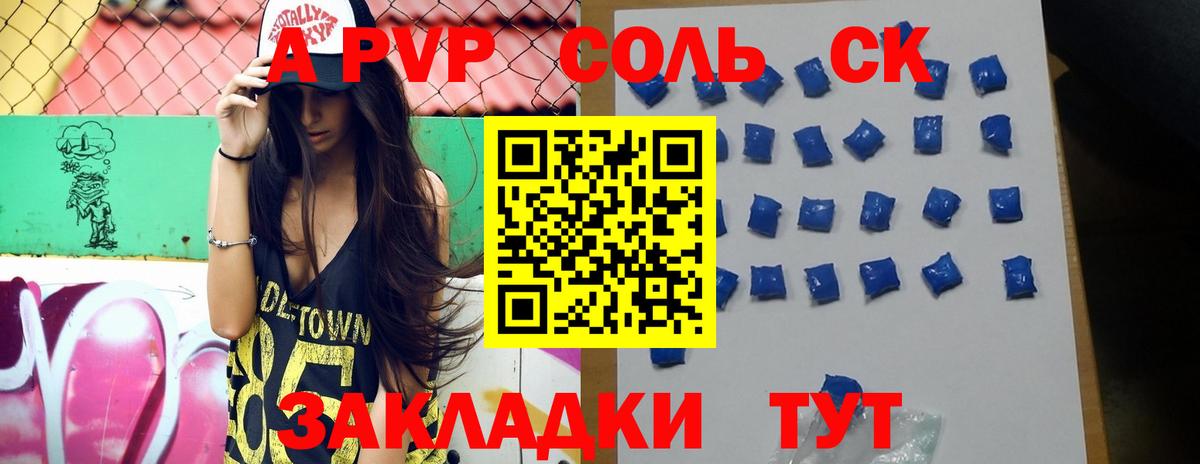 A PVP СК Новозыбков
