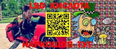 дурь Сланцы