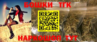 дурь Сланцы