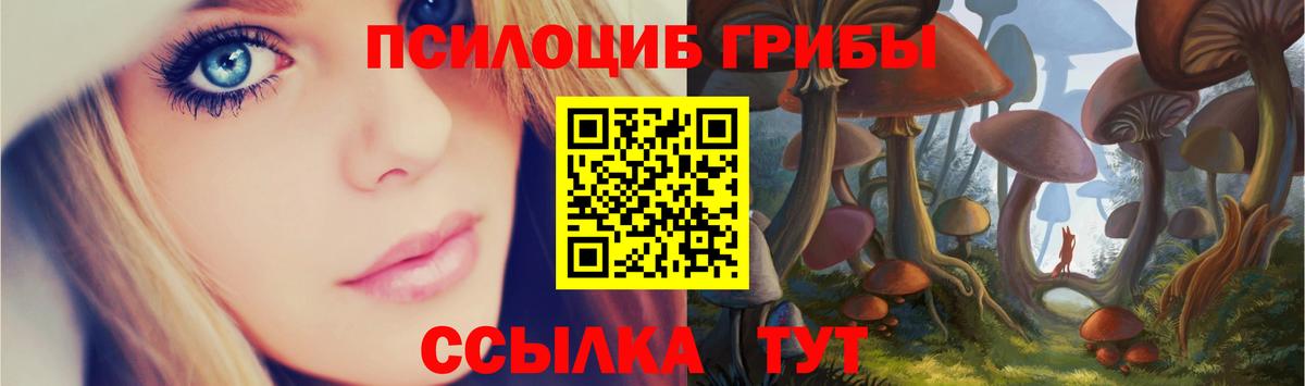 Галлюциногенные грибы Cubensis  Вход с VPN  Новозыбков 
